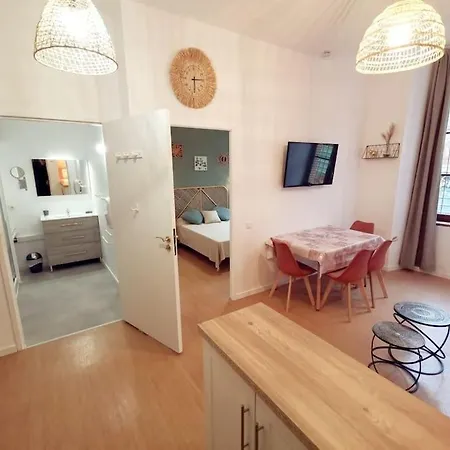 La Gabiche - Proche Guzet Et Face Aux Thermes Διαμέρισμα Aulus-les-Bains